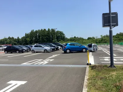 Kaszinó Spice Bingo Mobilalkalmazás